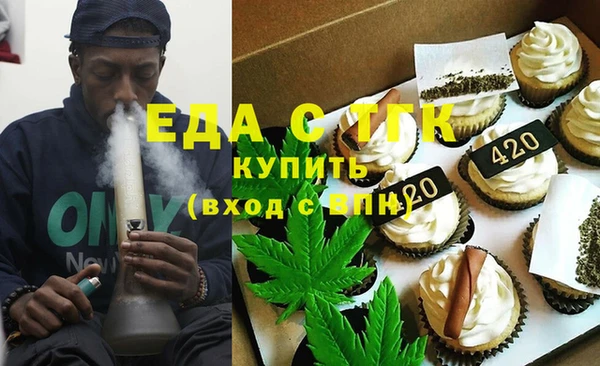 хмурый Аркадак