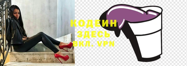 хмурый Аркадак