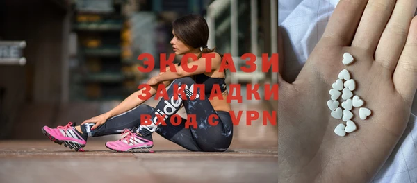 хмурый Аркадак