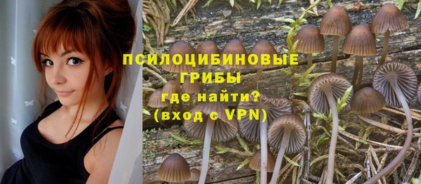 apvp Арсеньев