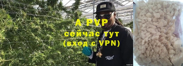 хмурый Аркадак