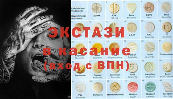 хмурый Аркадак