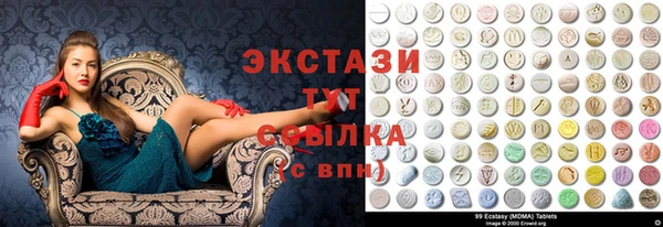 хмурый Аркадак