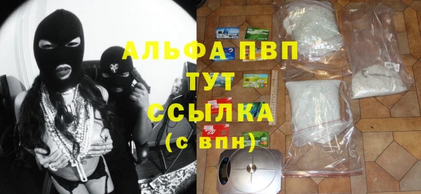 хмурый Аркадак