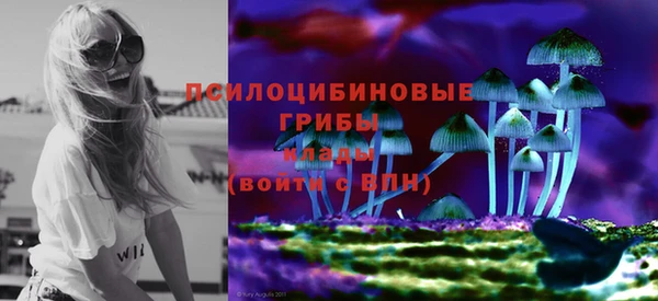 хмурый Аркадак